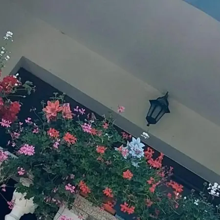 Sotto Le Stelle Vacanze 巴里萨尔多