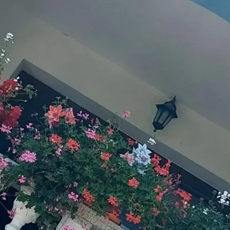 Sotto Le Stelle Vacanze 招待所